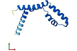 AlphaFold protein structure predicition of Mouse Recombinant Eny2 Protein, UniprotID Q9JIX0
