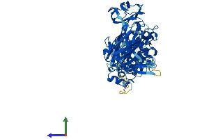 Protein Structure (PS) image for Transglutaminase 4 (Prostate) (TGM4) (AA 1-670) protein (His tag) (ABIN7559042)