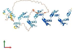 AlphaFold protein structure predicition of Human Recombinant ZNF599 Protein, UniprotID Q96NL3 (ZNF599 Protein (AA 1-588) (His tag))