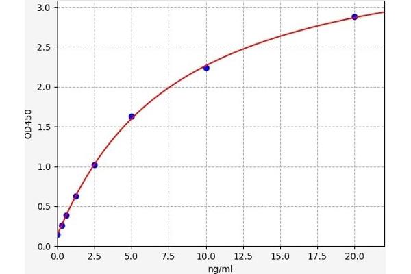 HYAL3 ELISA 试剂盒