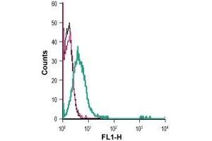 Cell surface detection of AT1 receptor in live intact human Jurkat T-cell leukemia cells: (black line) Cells.