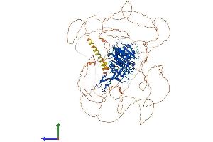 Protein Structure (PS) image for Ubiquitin Specific Peptidase 53 (USP53) (AA 1-1069) protein (His tag) (ABIN7562898)