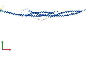 Protein Structure (PS) image for Tektin 1 (TEKT1) (AA 1-418) protein (His tag) (ABIN7561223)