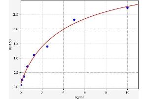 Typical standard curve (PEX2 ELISA 试剂盒)