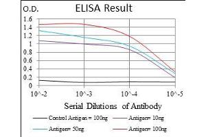 Black line: Control Antigen (100 ng), Purple line: Antigen(10 ng), Blue line: Antigen (50 ng), Red line: Antigen (100 ng), (MCAM 抗体  (AA 84-189))