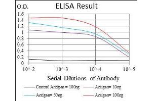 Black line: Control Antigen (100 ng), Purple line: Antigen(10 ng), Blue line: Antigen (50 ng), Red line: Antigen (100 ng), (MCAM 抗体  (AA 84-189))