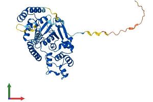 Protein Structure (PS) image for Flap Structure-Specific Endonuclease 1 (FEN1) (AA 1-378) protein (His tag) (ABIN7563210)