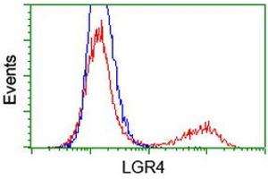 HEK293T cells transfected with either RC221345 overexpress plasmid (Red) or empty vector control plasmid (Blue) were immunostained by anti-LGR4 antibody (ABIN2454807), and then analyzed by flow cytometry. (LGR4 抗体  (AA 230-540))