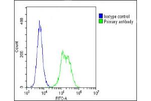 Overlay histogram showing C2C12 cells stained with (ABIN6242660 and ABIN6578661)(green line). (TUBB 抗体  (AA 46-78))