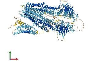 AlphaFold protein structure predicition of Human Recombinant ABCC6 Protein, UniprotID O95255