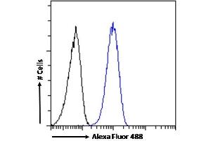 (ABIN570758) Flow cytometric analysis of paraformaldehyde fixed HeLa cells (blue line), permeabilized with 0. (SMC5 抗体  (Internal Region))