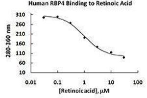 ELISA image for Retinol Binding Protein 4, Plasma (RBP4) (AA 19-201), (C-Term) (Active) protein (ABIN2666743) (RBP4 Protein (AA 19-201, C-Term))
