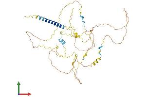 AlphaFold protein structure predicition of Mouse Recombinant Pag1 Protein, UniprotID Q3U1F9
