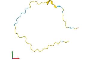 AlphaFold protein structure predicition of Mouse Recombinant Nrep Protein, UniprotID Q07475