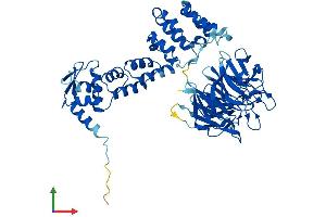 Protein Structure (PS) image for Kelch-Like 12 (Drosophila) (KLHL12) (AA 1-568) protein (His tag) (ABIN7554291)