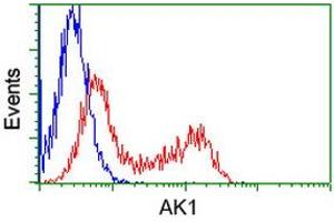 Flow Cytometry (FACS) image for anti-Adenylate Kinase 1 (AK1) antibody (ABIN1496515) (Adenylate Kinase 1 抗体)
