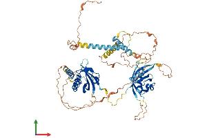 Protein Structure (PS) image for Aryl Hydrocarbon Receptor Nuclear Translocator-Like 2 (ARNTL2) (AA 1-579) protein (His tag) (ABIN7563656)