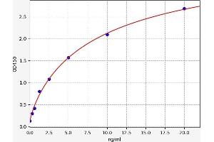 Typical standard curve (SUSD2 ELISA 试剂盒)