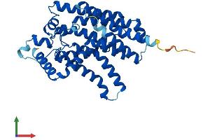 Protein Structure (PS) image for Glucose 6-Phosphatase, Catalytic 3 (G6PC3) (AA 1-346) protein (His tag) (ABIN7547815)
