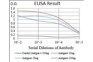 Black line: Control Antigen (100 ng), Purple line: Antigen(10 ng), Blue line: Antigen (50 ng), Red line: Antigen (100 ng), (MME 抗体  (AA 52-246))