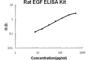 Rat EGF Accusignal ELISA Kit Rat EGF AccuSignal ELISA Kit standard curve. (EGF ELISA 试剂盒)