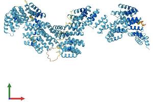 AlphaFold protein structure predicition of Human Recombinant TTC21B Protein, UniprotID Q7Z4L5 (TTC21B Protein (AA 1-1316) (His tag))