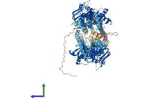 AlphaFold protein structure predicition of Mouse Recombinant Abcb4 Protein, UniprotID P21440