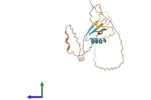 Protein Structure (PS) image for Cancer/testis Antigen 2 (CTAG2) (AA 1-210) protein (His tag) (ABIN7546844)