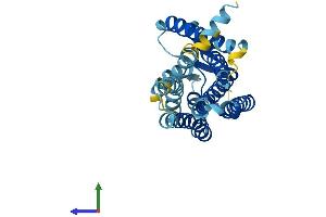 Protein Structure (PS) image for Olfactory Receptor, Family 12, Subfamily D, Member 2 (OR12D2) (AA 1-307) protein (His tag) (ABIN7550012)