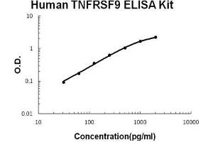 Human TNFRSF9/4-1BB PicoKine ELISA Kit standard curve (CD137 ELISA 试剂盒)