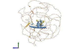 Protein Structure (PS) image for Rab11 Family-Interacting Protein 1 (RAB11FIP1) (AA 1-1283) protein (His tag) (ABIN7555208)