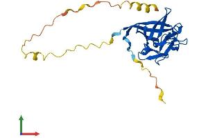Protein Structure (PS) image for Fibroblast Growth Factor 11 (FGF11) (AA 1-225) protein (His tag) (ABIN7547567)