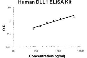 Human DLL1 PicoKine ELISA Kit standard curve (DLL1 ELISA 试剂盒)