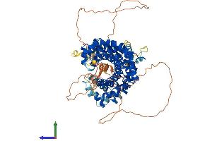 Protein Structure (PS) image for Plakophilin 1 (PKP1) (AA 1-728) protein (His tag) (ABIN7556786)
