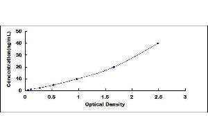 Typical standard curve