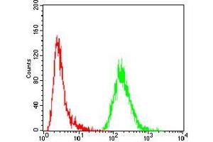 Flow cytometric analysis of MCF-7 cells using GNAS mouse mAb (green) and negative control (red). (GNAS 抗体  (AA 42-188))