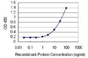 Detection limit for recombinant GST tagged HN1L is 0. (HN1L 抗体  (AA 1-190))