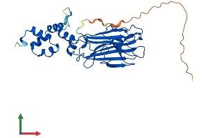 AlphaFold protein structure predicition of Mouse Recombinant Fbxo6 Protein, UniprotID Q9QZN4