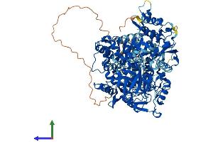 Protein Structure (PS) image for Iron-Responsive Element Binding Protein 2 (IREB2) (AA 1-963) protein (His tag) (ABIN7564317)