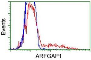 Image no. 14 for anti-ADP-Ribosylation Factor GTPase Activating Protein 1 (ARFGAP1) antibody (ABIN1496679)