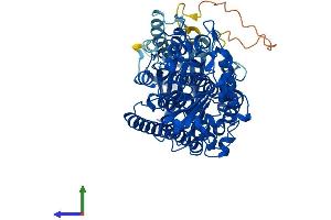 Protein Structure (PS) image for Arachidonate Lipoxygenase 3 (ALOXE3) (AA 1-711) protein (His tag) (ABIN7554416)