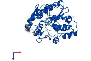 Protein Structure (PS) image for Sulfotransferase Family, Cytosolic, 1C, Member 2 (SULT1C2) (AA 1-296) protein (His tag) (ABIN7544031)