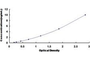 Typical standard curve (Betacellulin ELISA 试剂盒)