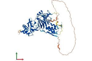 Protein Structure (PS) image for SMAD, Mothers Against DPP Homolog 1 (SMAD1) (AA 1-465) protein (His tag) (ABIN7556702)