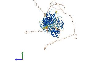 AlphaFold protein structure predicition of Human Recombinant FGD4 Protein, UniprotID Q96M96