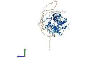 Protein Structure (PS) image for Zinc Finger Protein 92 (ZNF92) (AA 1-416) protein (His tag) (ABIN7545528)