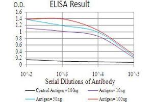 Black line: Control Antigen (100 ng), Purple line: Antigen(10 ng), Blue line: Antigen (50 ng), Red line: Antigen (100 ng), (RAD18 抗体  (AA 332-430))