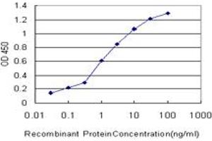 Detection limit for recombinant GST tagged PDK3 is approximately 0. (PDK3 抗体  (AA 174-263))