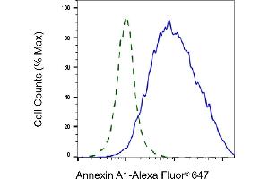 Validation of Annexin A1 knockdown using flow cytometry. (Recombinant Annexin a1 抗体)
