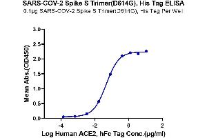 ELISA image for SARS-CoV-2 Spike (D614G), (Trimer) protein (His-Avi Tag) (ABIN7274402)